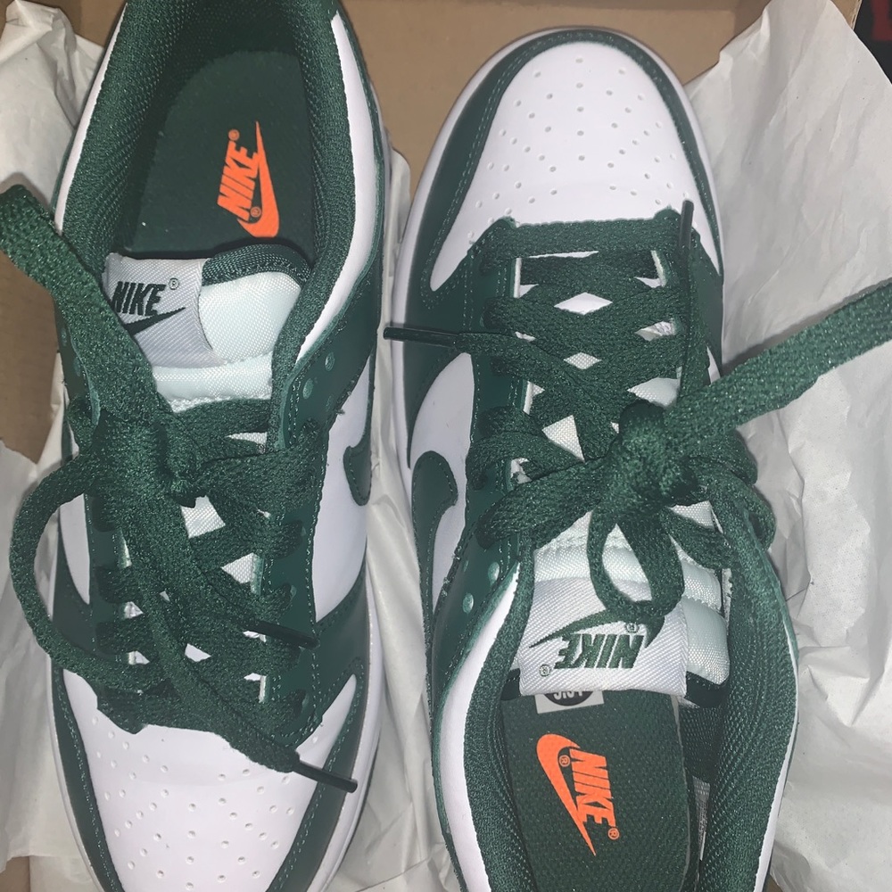 Nike dunk lows (GS)